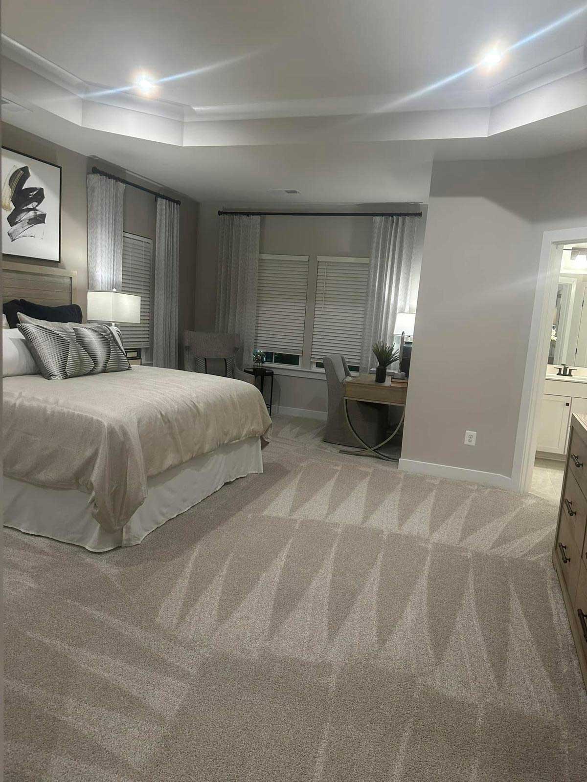 Professional cleaner vacuuming a living room rug